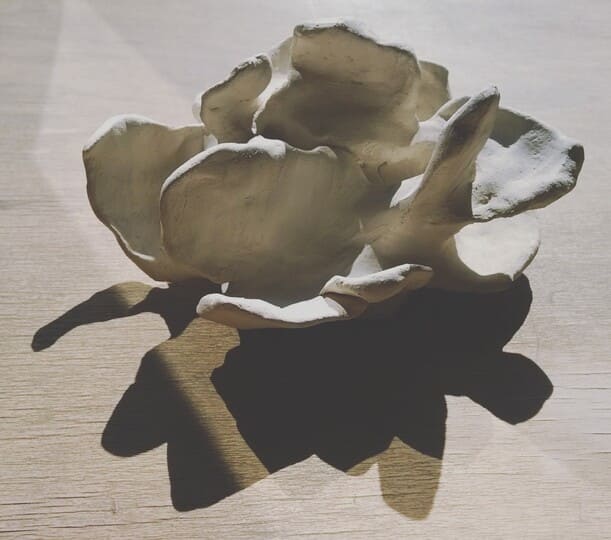 céramique, Lysiane Bourdon, nature,