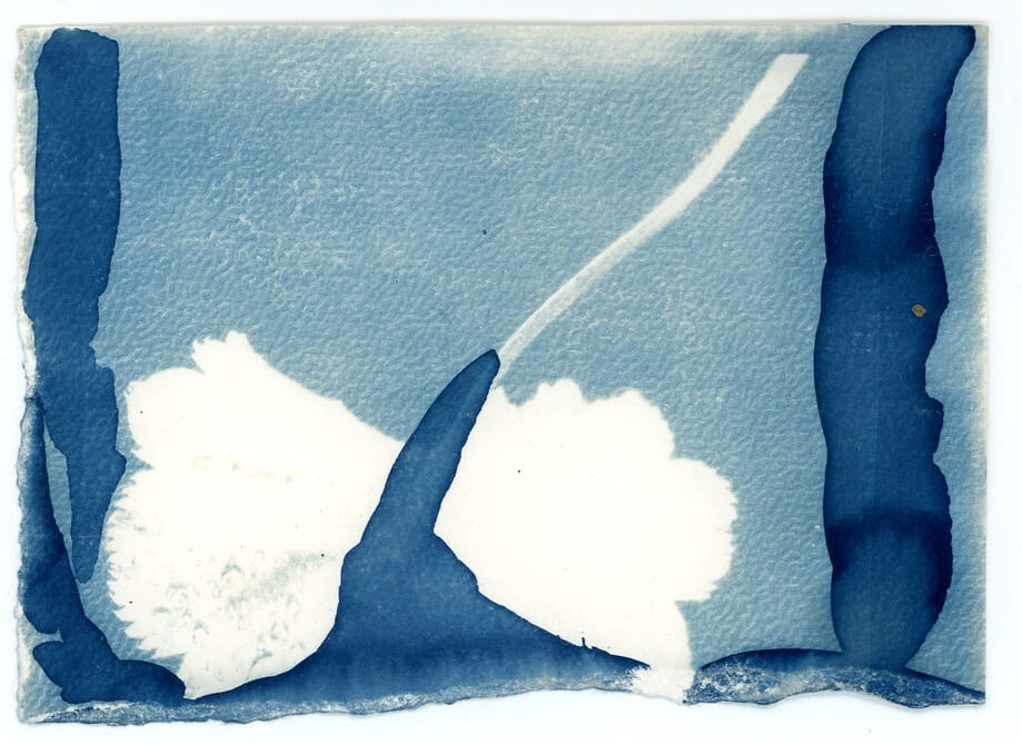 peinture, Lysiane Bourdon, bleu