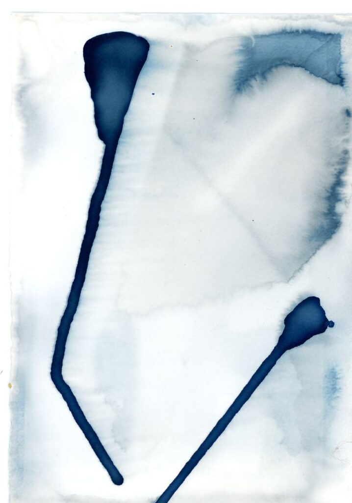 peinture, Lysiane Bourdon, cyanotype,