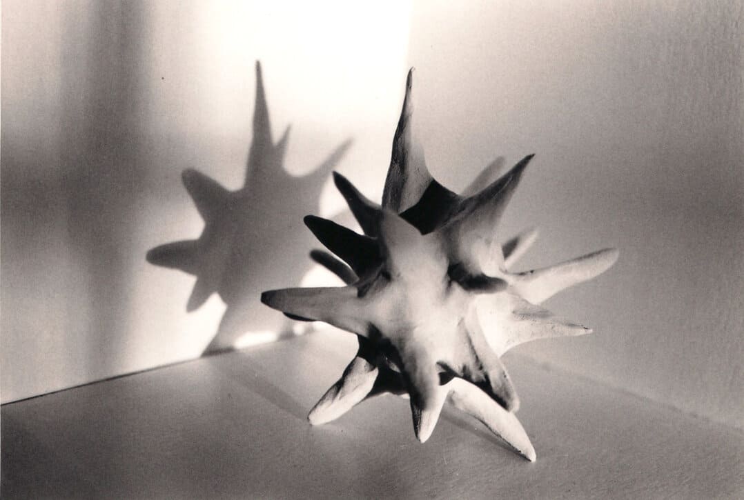 curiosité, céramique, Lysiane Bourdon, installation,