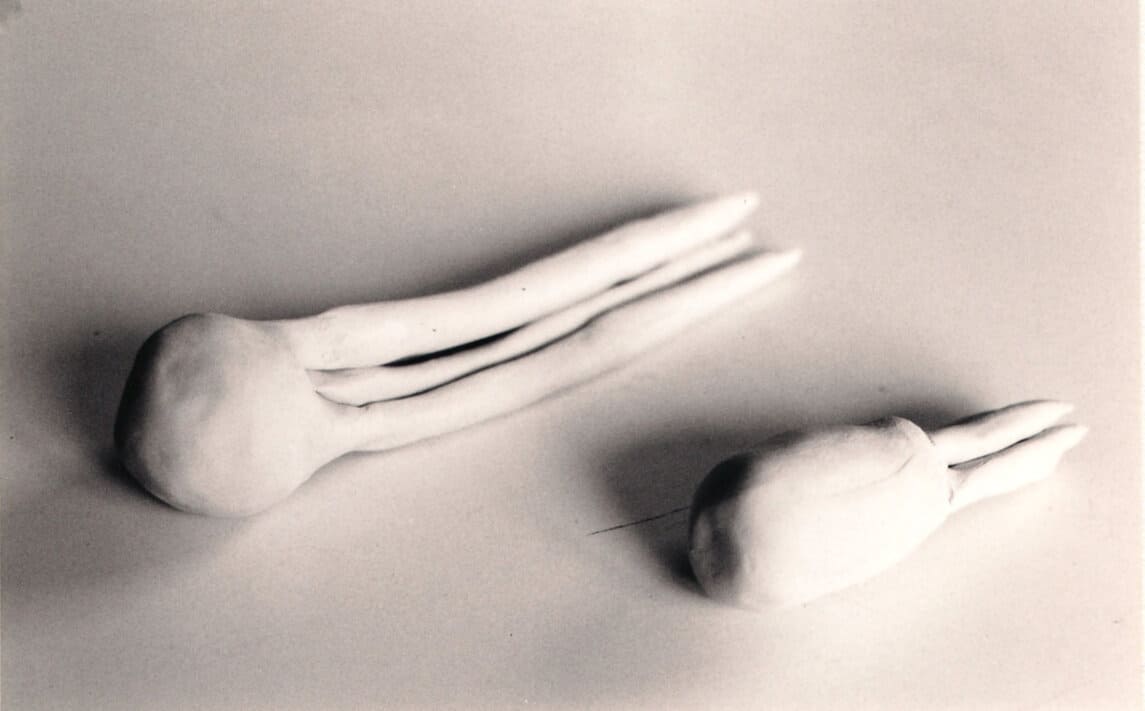 curiosité, céramique, Lysiane Bourdon, terre cuite,