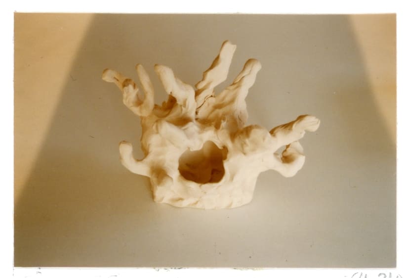 curiosité, sculpture, Lysiane Bourdon, terre,