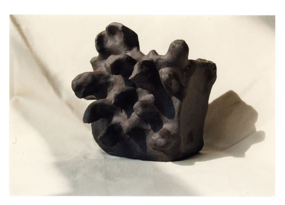 curiosité, céramique, Lysiane Bourdon, terre, onirisme,