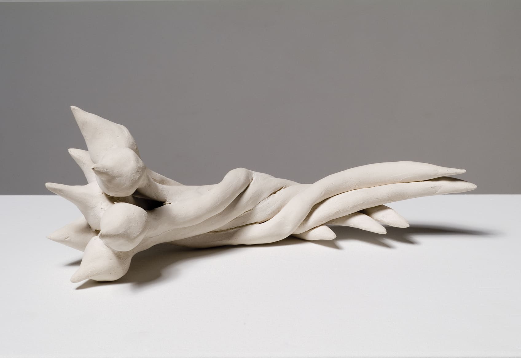 curiosité, sculpture, Lysiane Bourdon, terre, exposition,