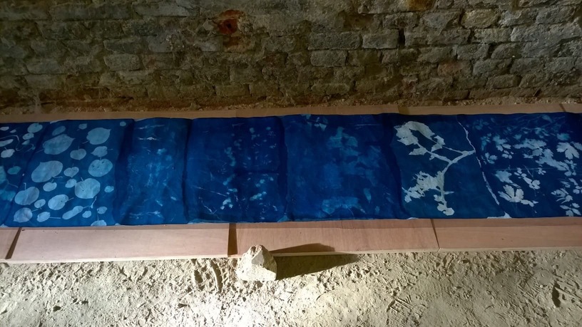 cyanotype, bleu, photo, Lysiane Bourdon,