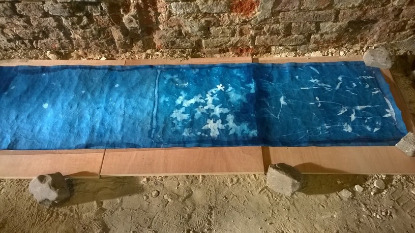 exposition solaire, cyan, Lysiane Bourdon,