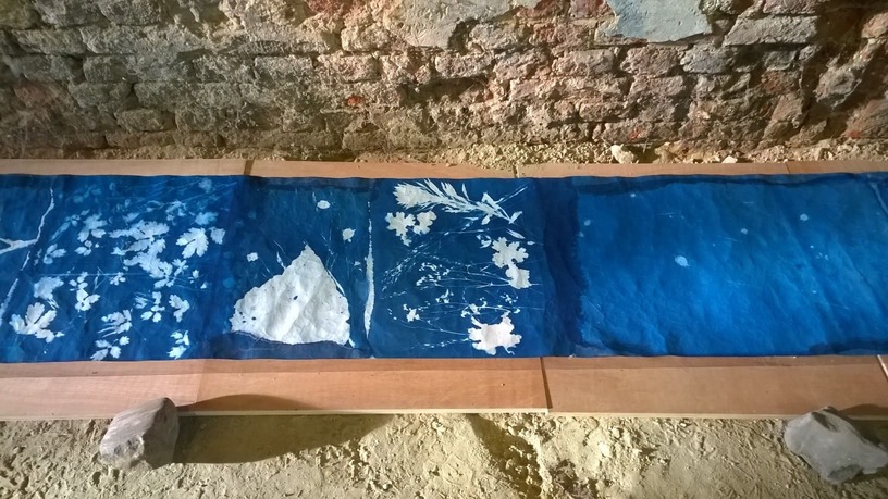 cyanotype, installation, Lysiane Bourdon,