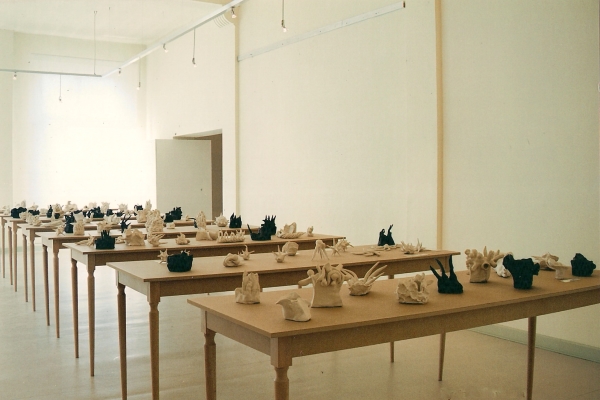 curiosités, exposition, installation,