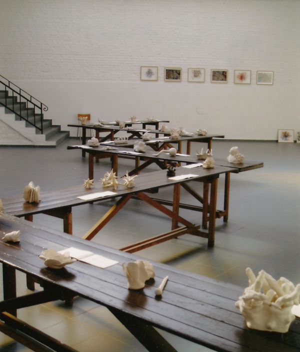 curiosités, exposition, installation,