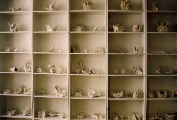 curiosités, exposition, installation,