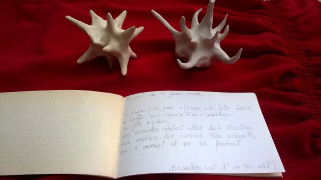 curiosités, exposition, installation,