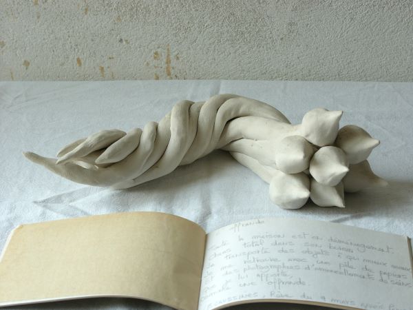 curiosités, exposition, installation,