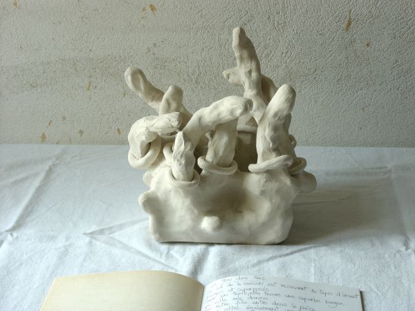 curiosités, exposition, installation,