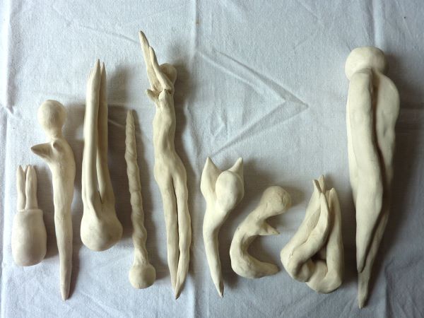 curiosités, exposition, installation,