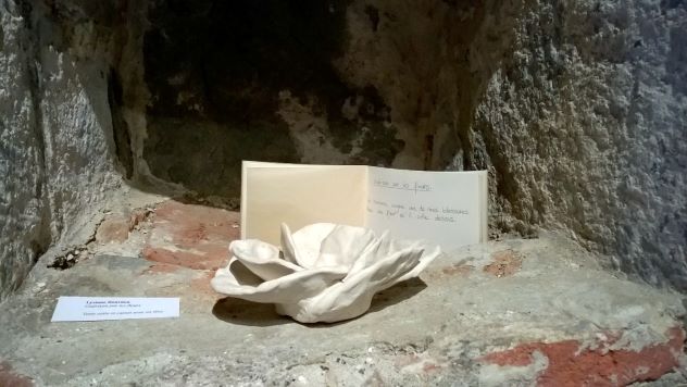 curiosités, exposition, installation,