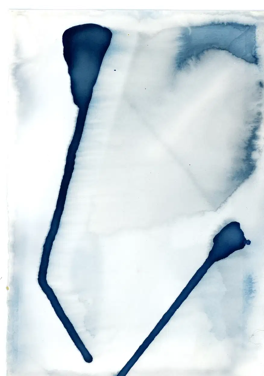 Peinture avec émulsion cyanotype, "Plante Cerf-volant" de Lysiane Bourdon, un cerf-volant à l'arrière de deux plantes bleues longilignes